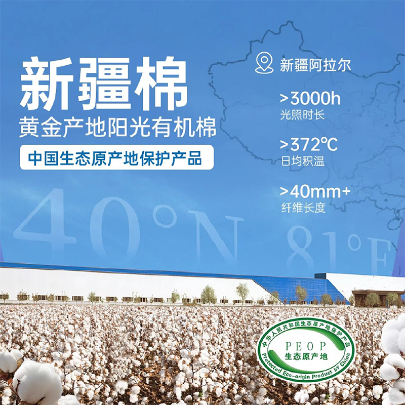 彩熊方巾 4