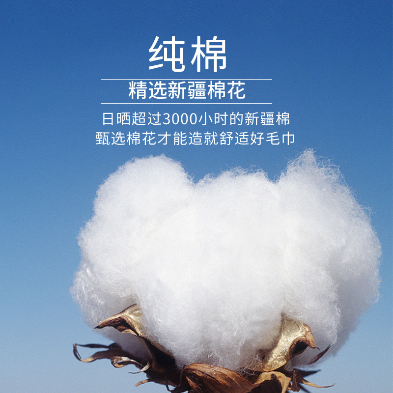 柠檬清晨 4
